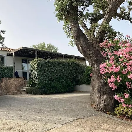 펜션 Maison A 2min A Pied Du Centre De Vecchio