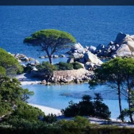 Maison A 2min A Pied Du Centre De Vecchio Porto-Vecchio (Corsica)