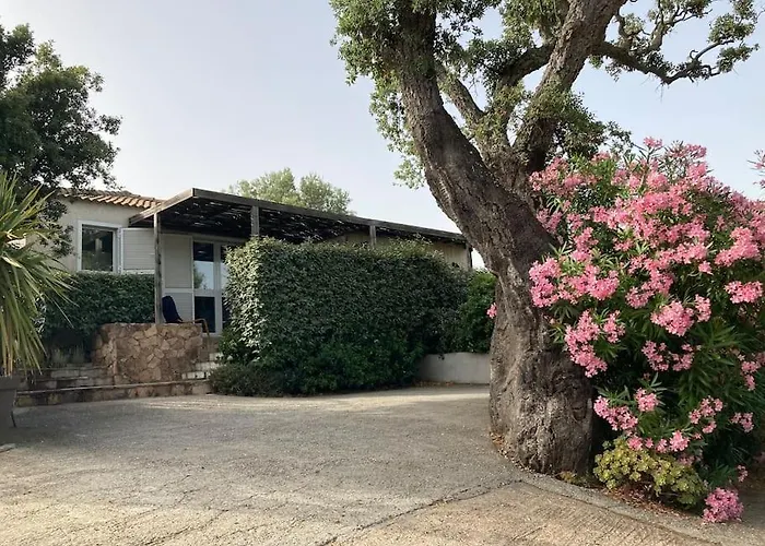 Vakantiehuis Maison A 2min A Pied Du Centre De Vecchio